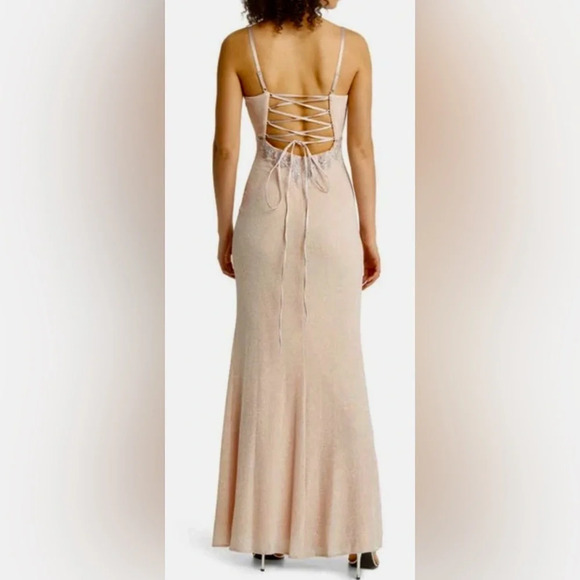XSCAPE EMBELLISHED & EMBROIDERED GOWN IN BLUSH/ SILVER - Picture 4 of 12